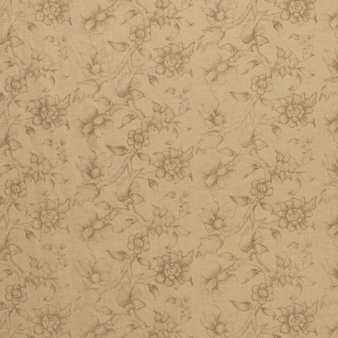 Foliette - Graphite on Wheat