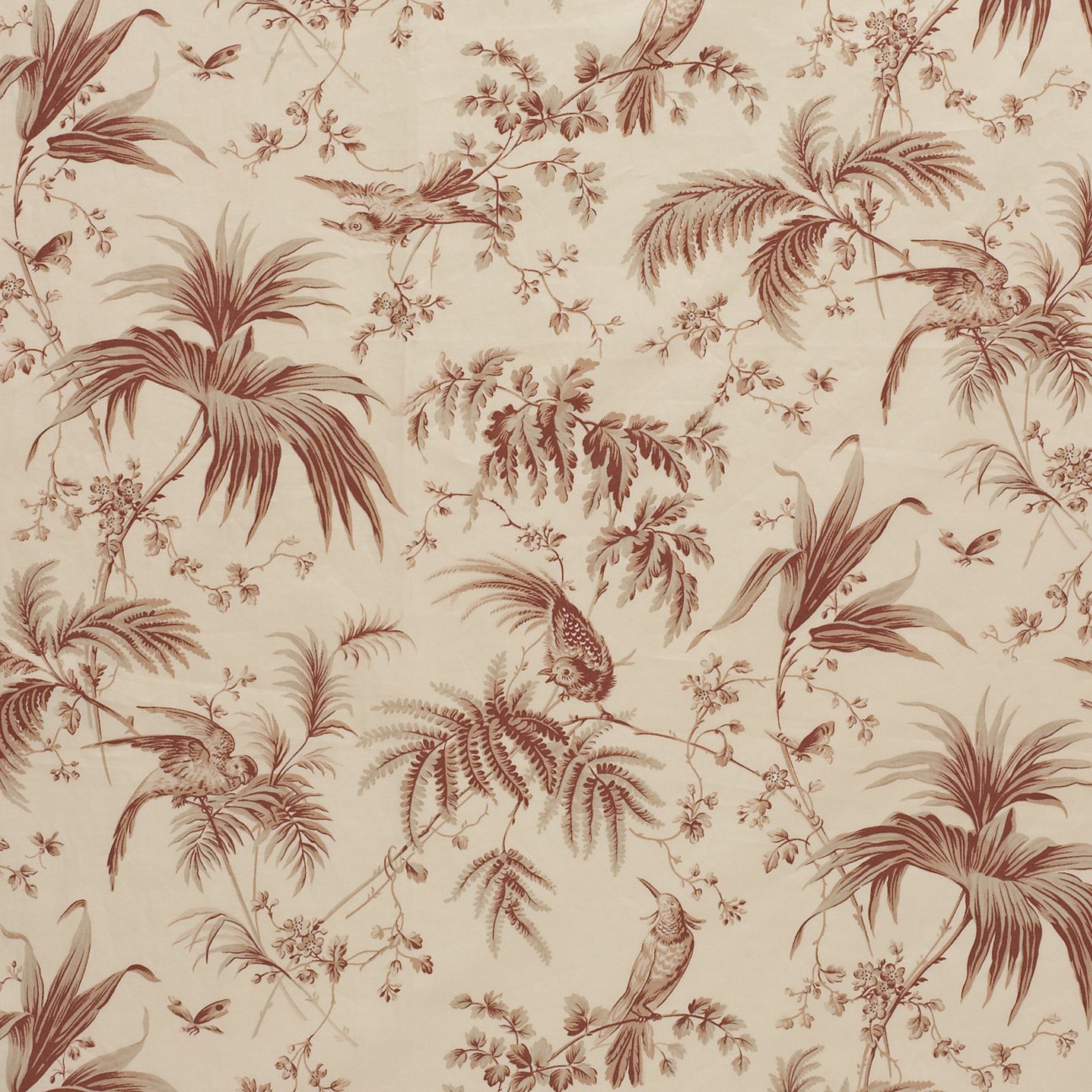 Little Bird - Umber / Wheat