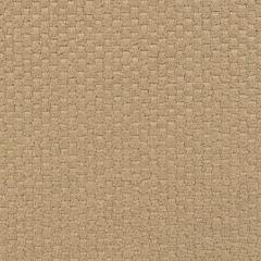 Couture Boucle N.12 - Taupe