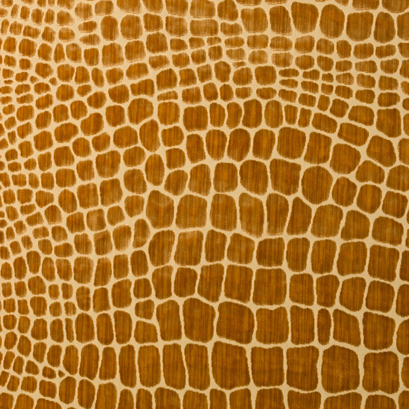 Armadillo - Deep Honey