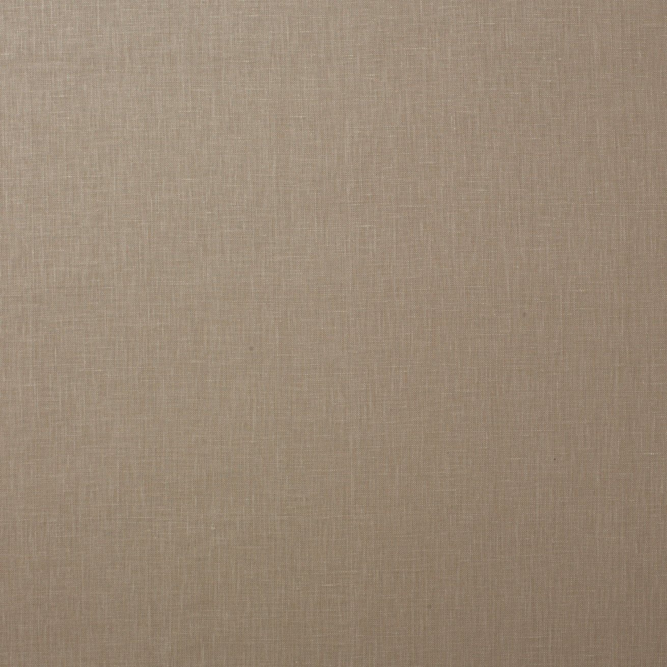 Glacis - Wild Grain