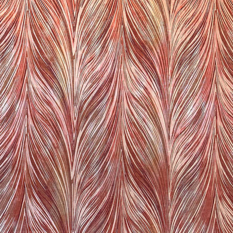 Leveille - Corail