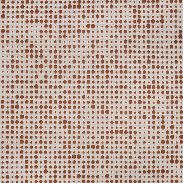 Empreinte - Ecureuil