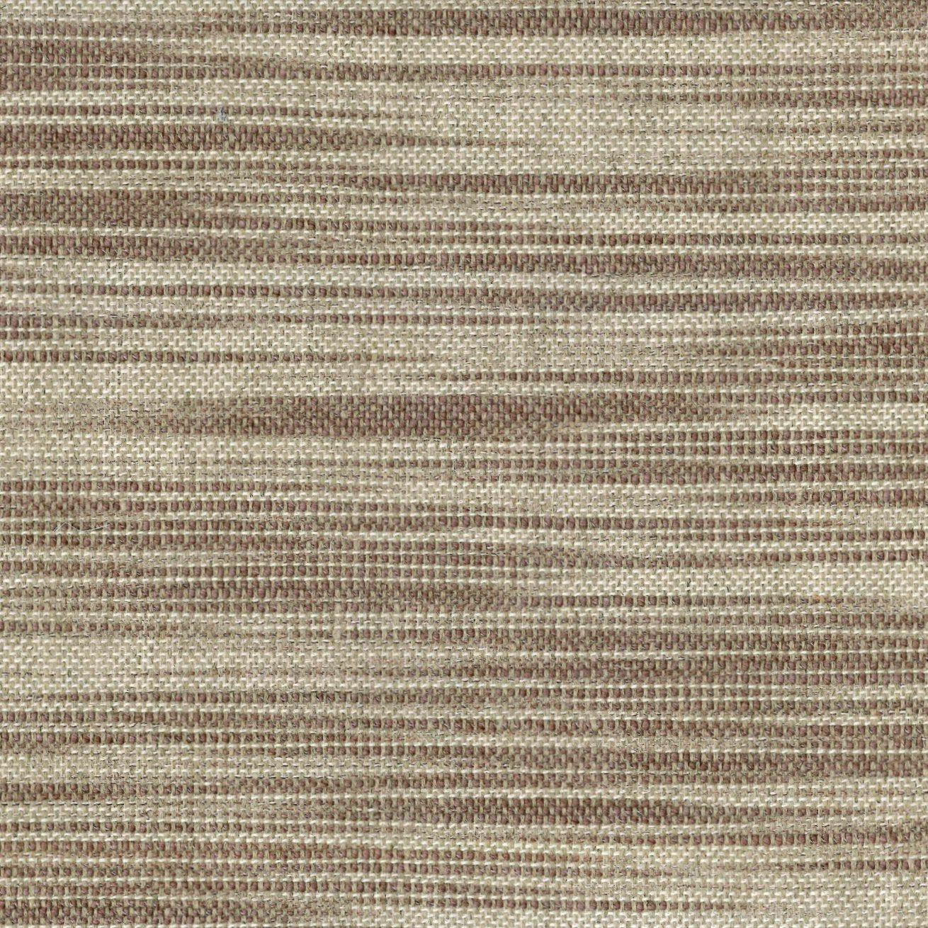 Eddy - Speckled Alder