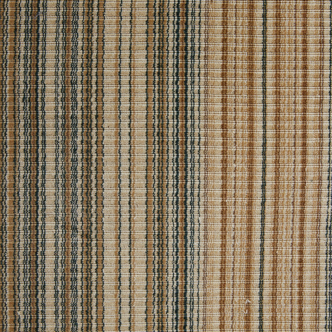 Epingle Stripe - Camel
