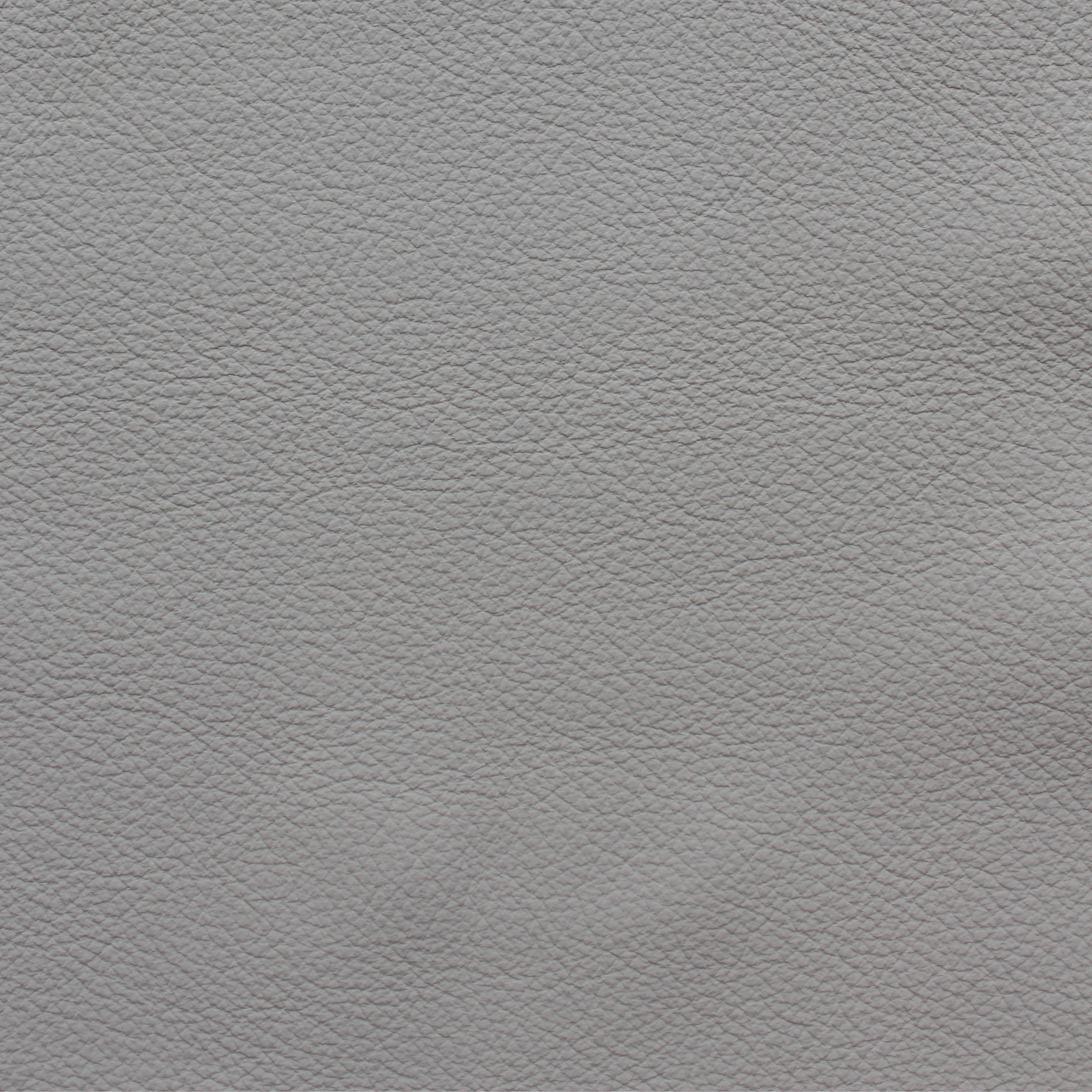 Desirabull - Canvas Tan