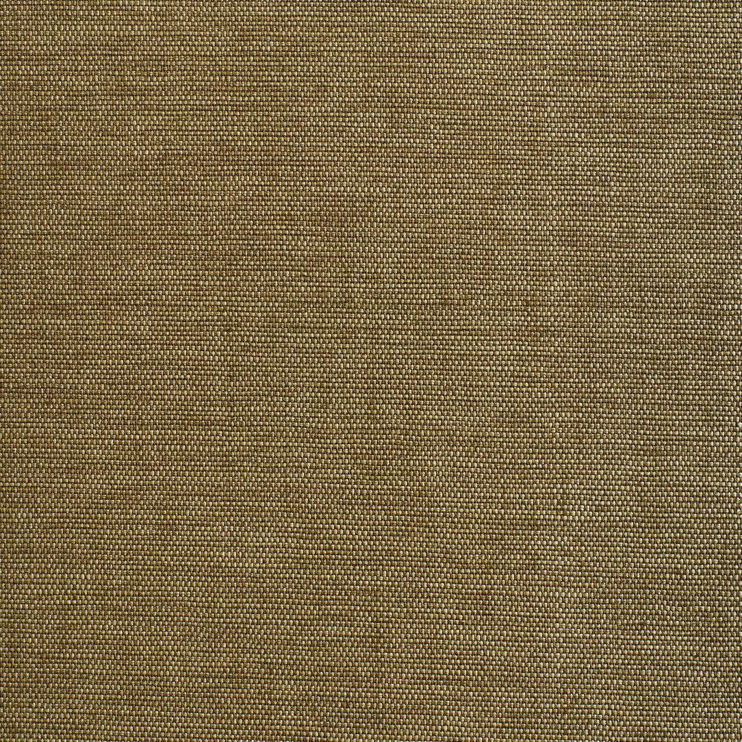 Didgeridoo Wall - Giunco