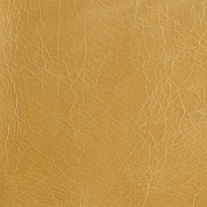 BELLA PELLE - BUTTERSCOTCH