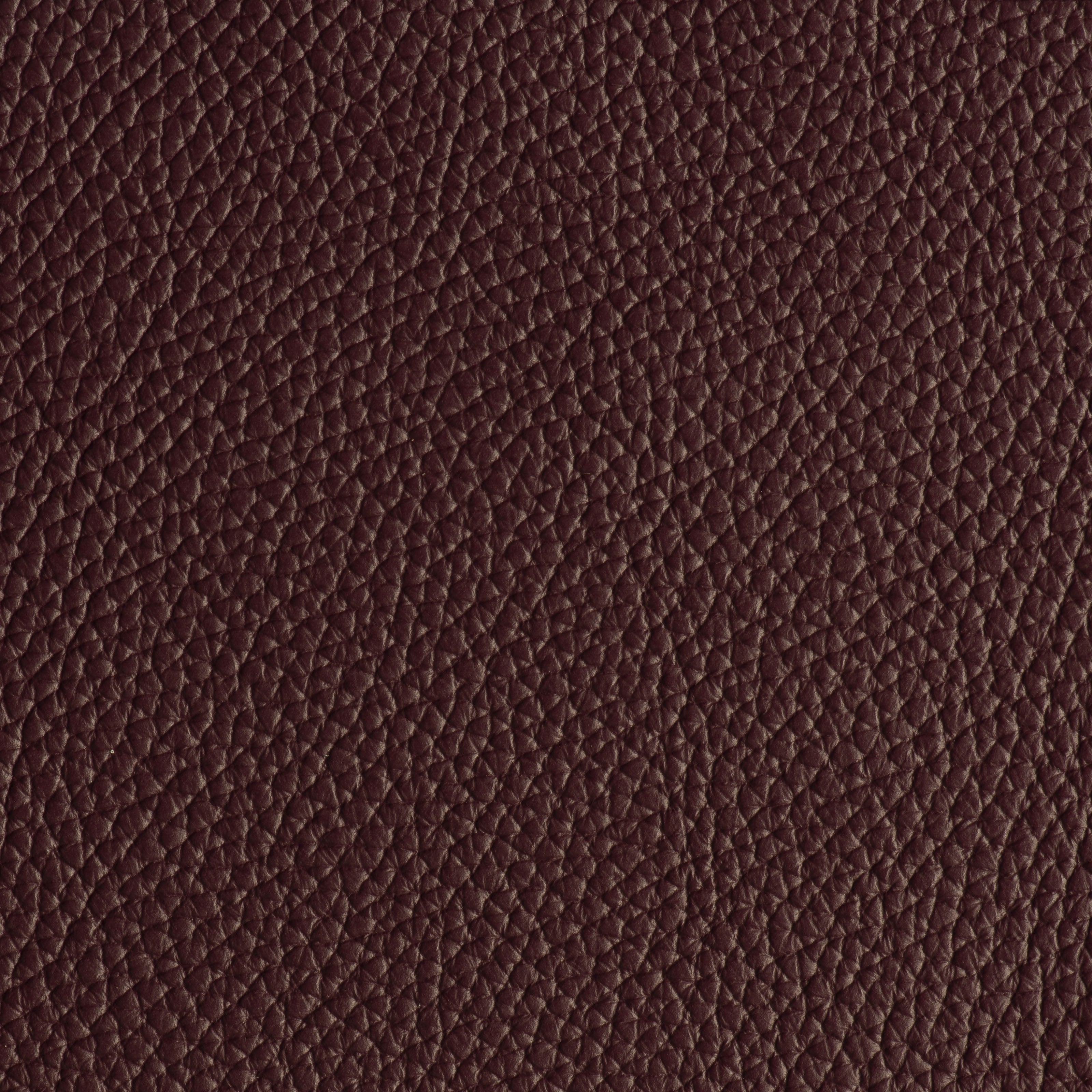 LIKE NO UDDER - RAISIN