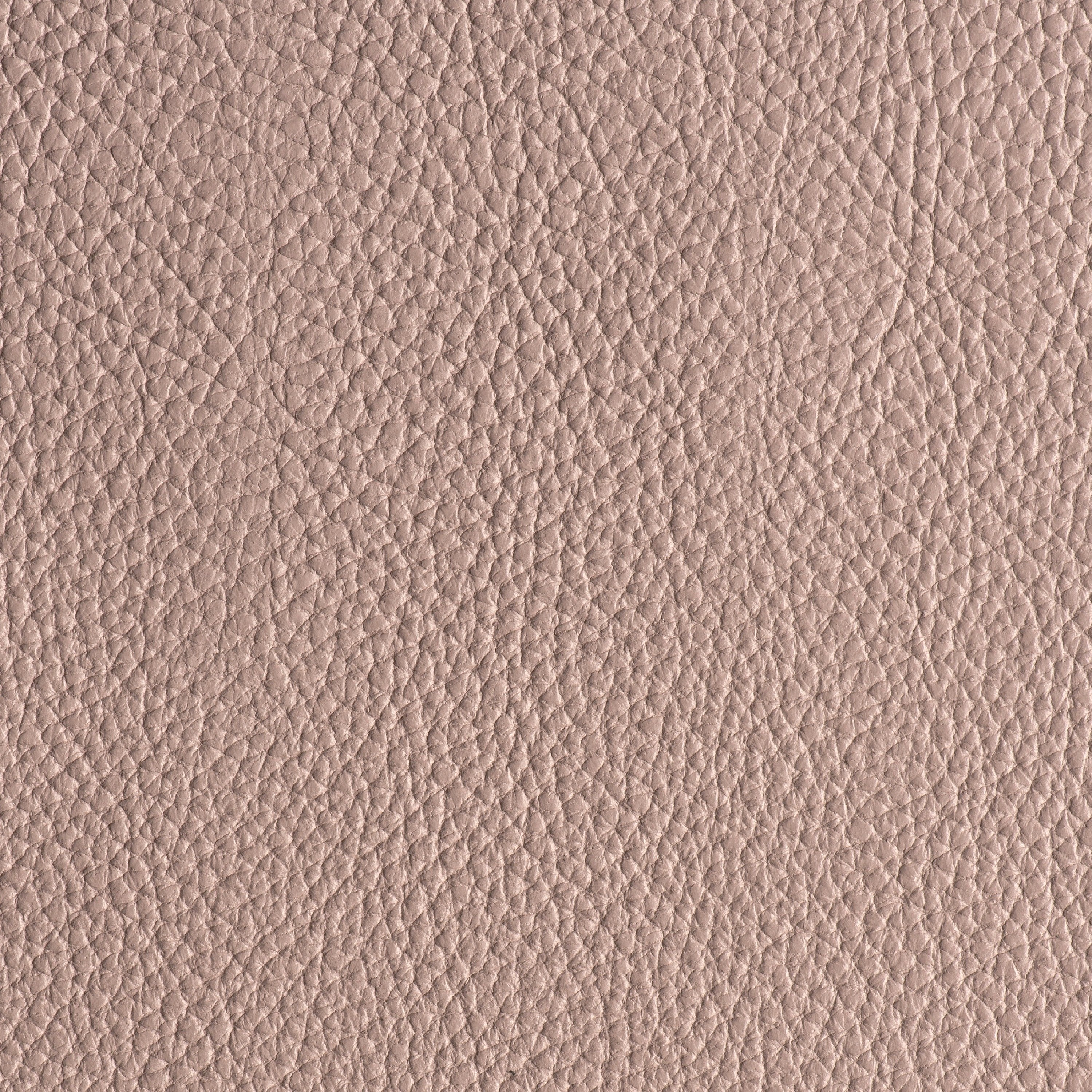 LIKE NO UDDER - DESERT