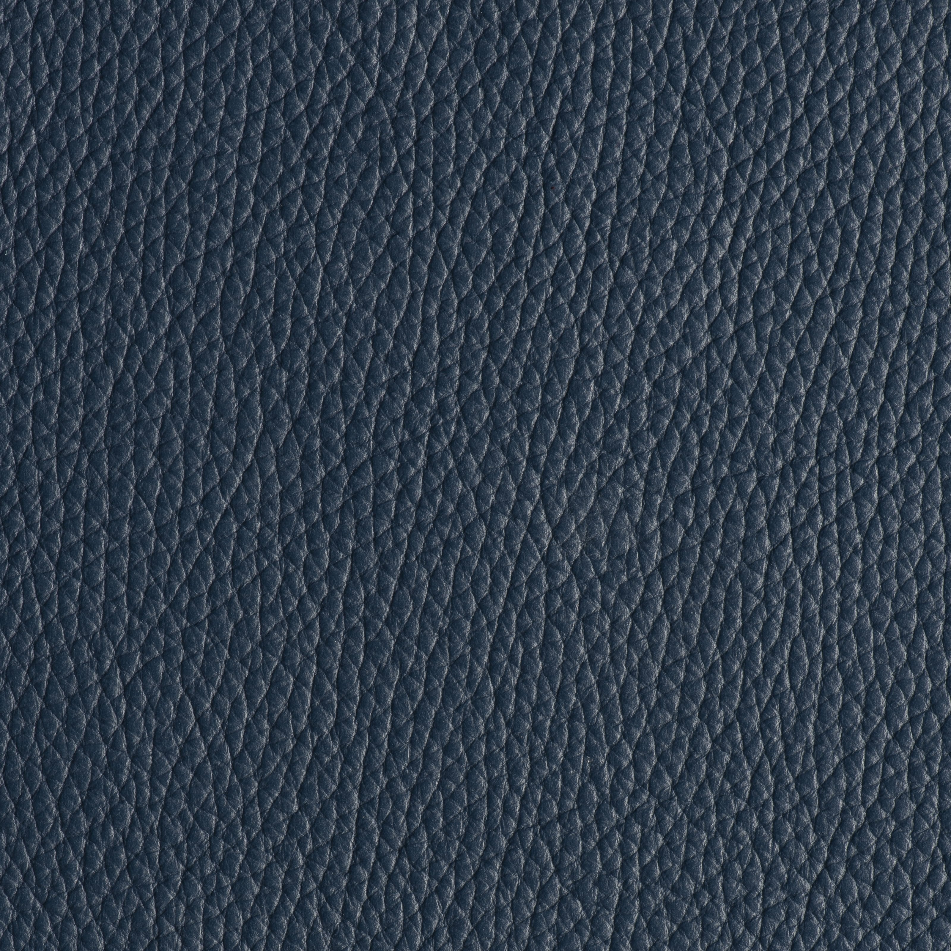 LIKE NO UDDER - RAINSTORM