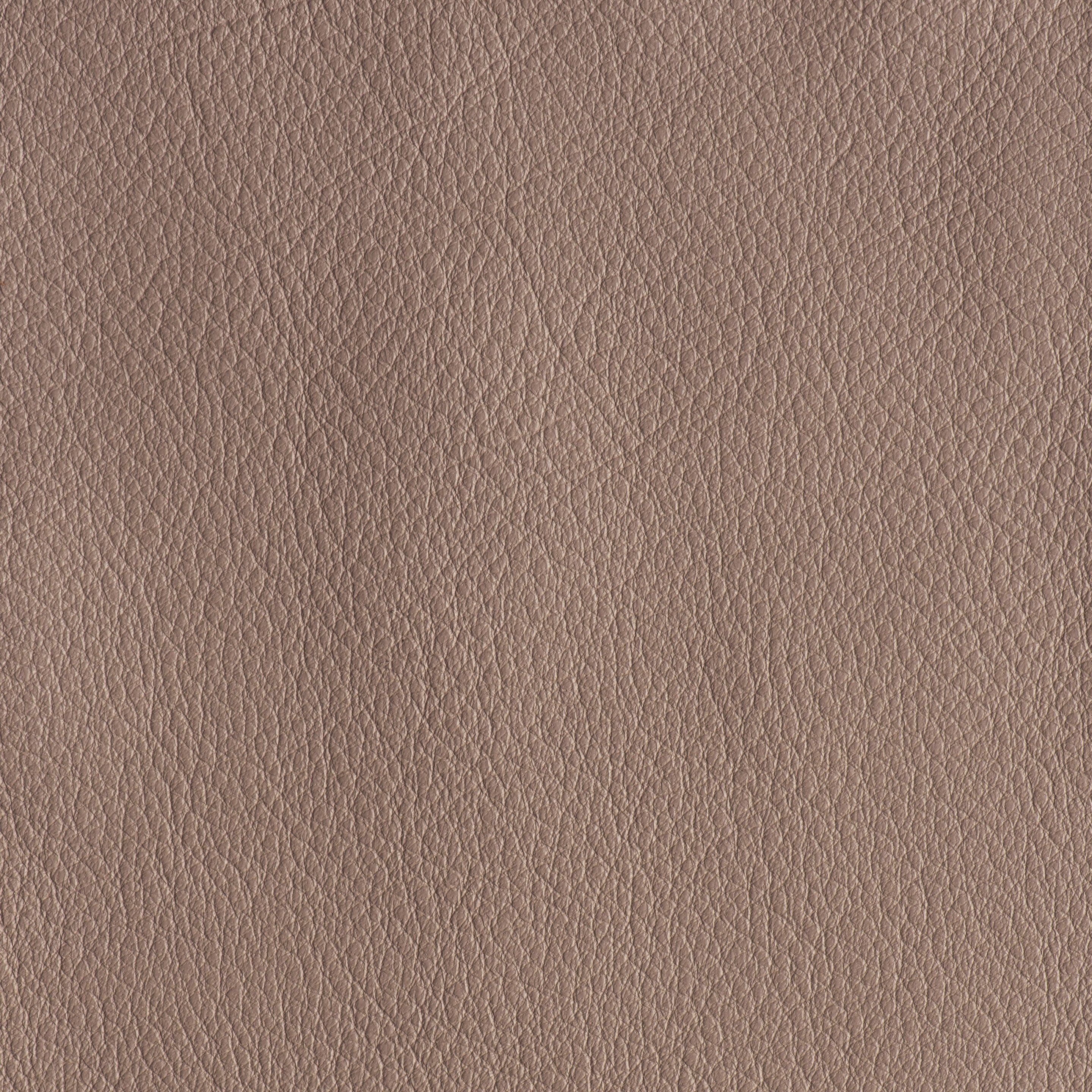 IN THE MOO'D - PEARL ROSE