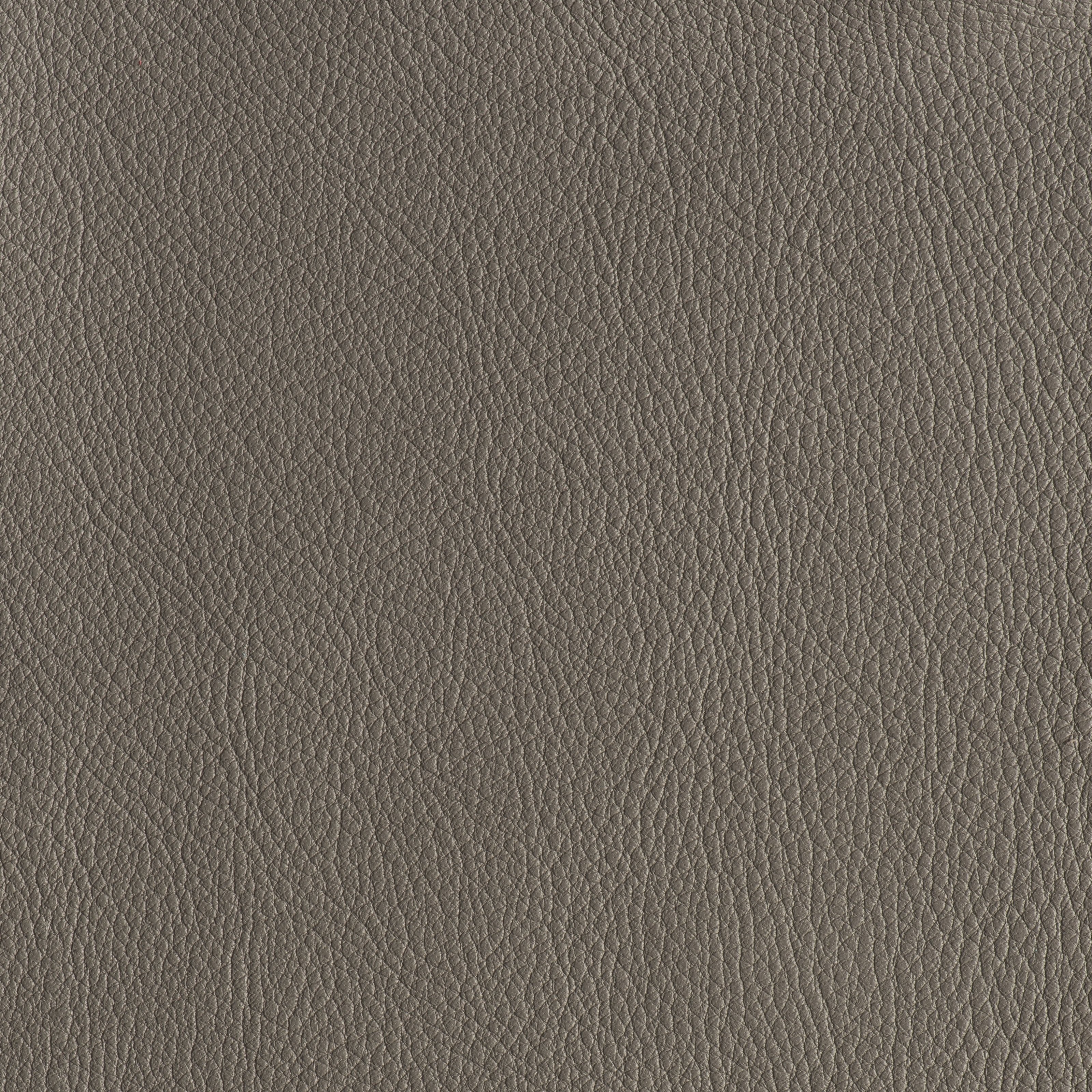 IN THE MOO'D - SUBWAY