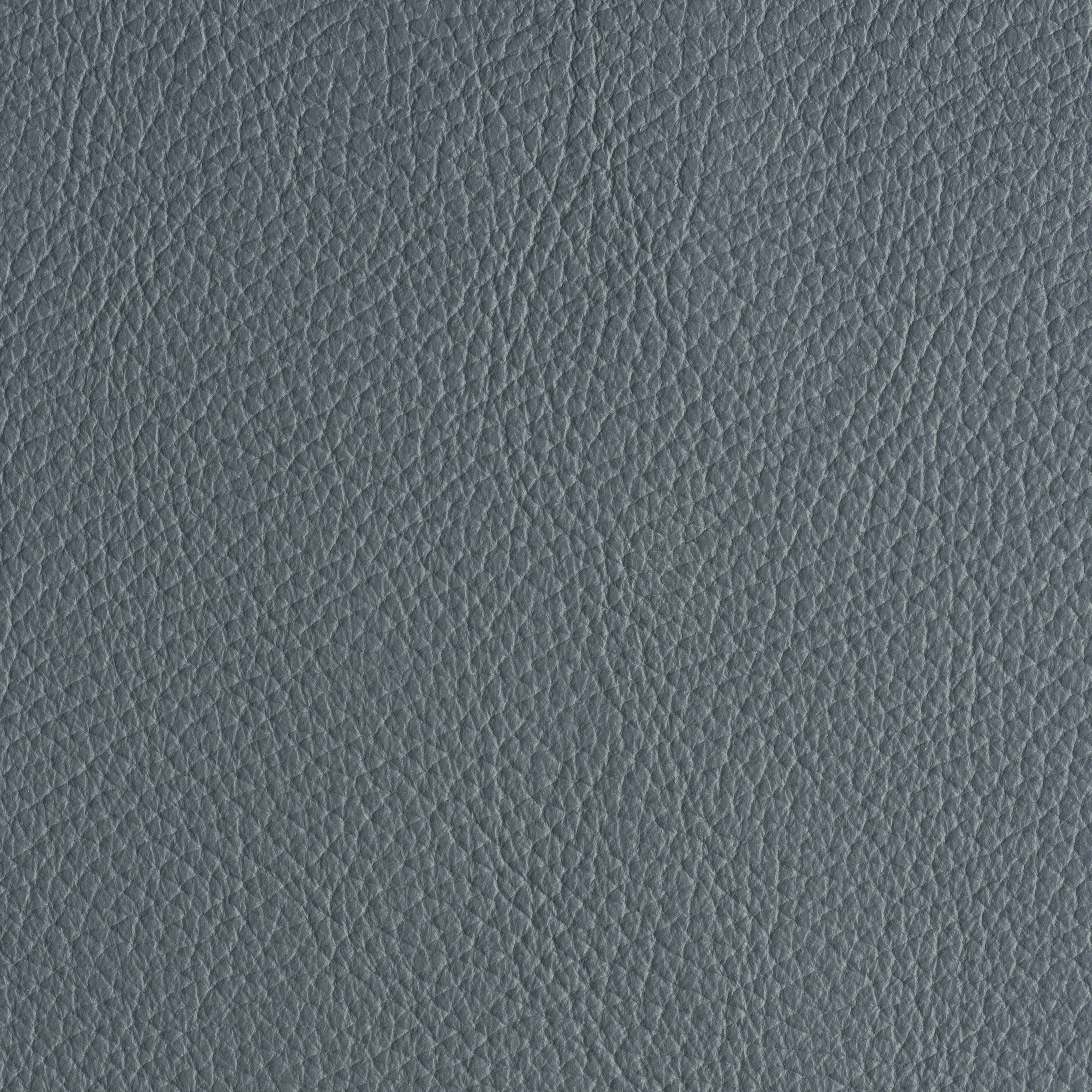 LIKE NO UDDER - FRENCH BLUE