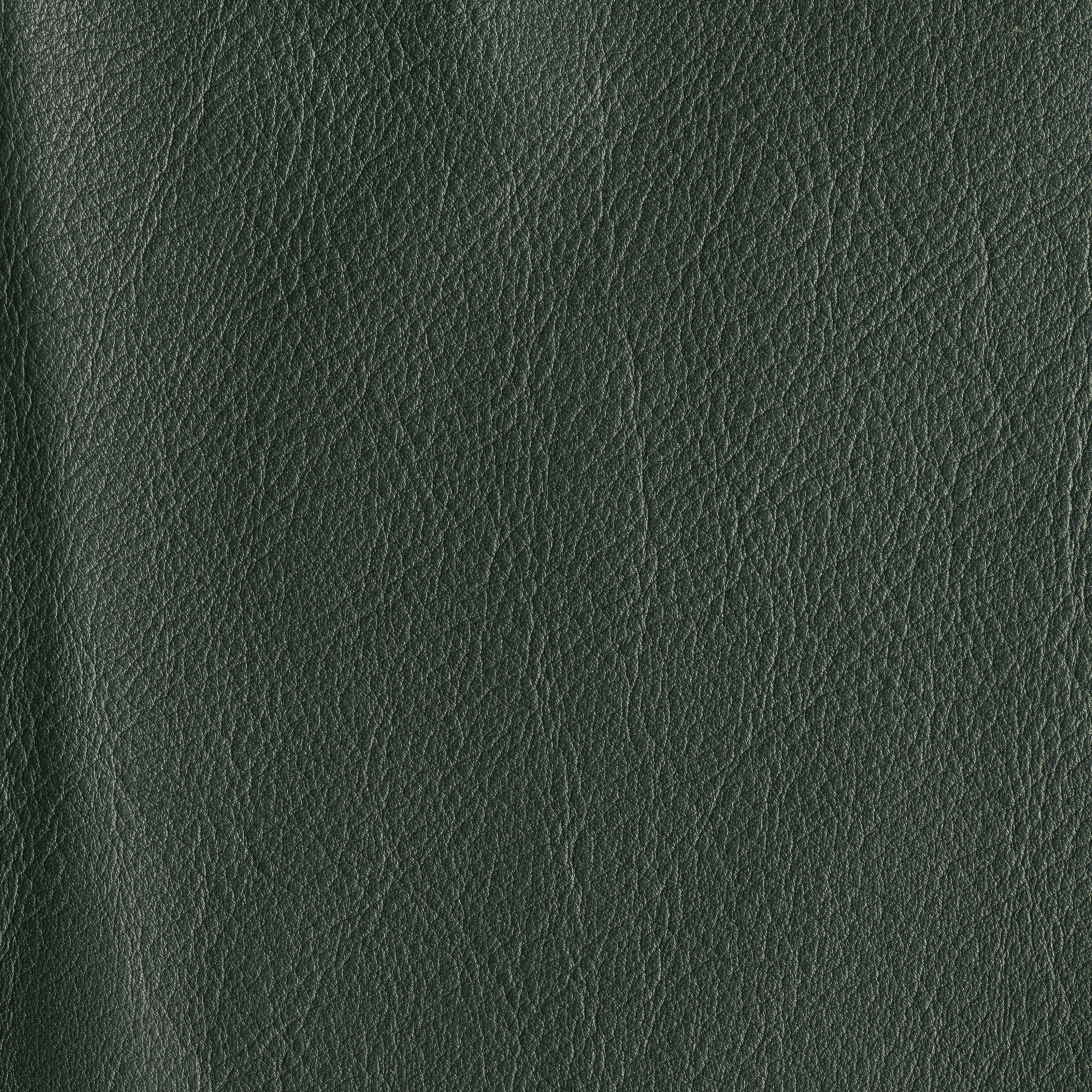 IN THE MOO'D - TURTLE