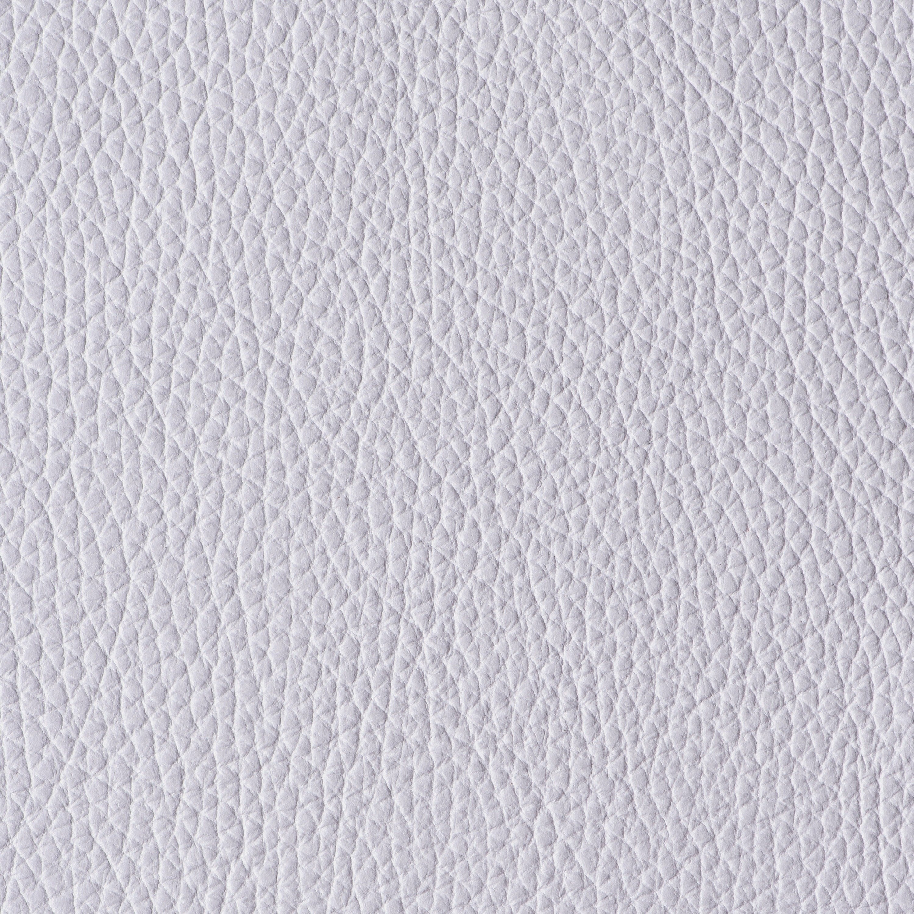 LIKE NO UDDER - REFLECTION