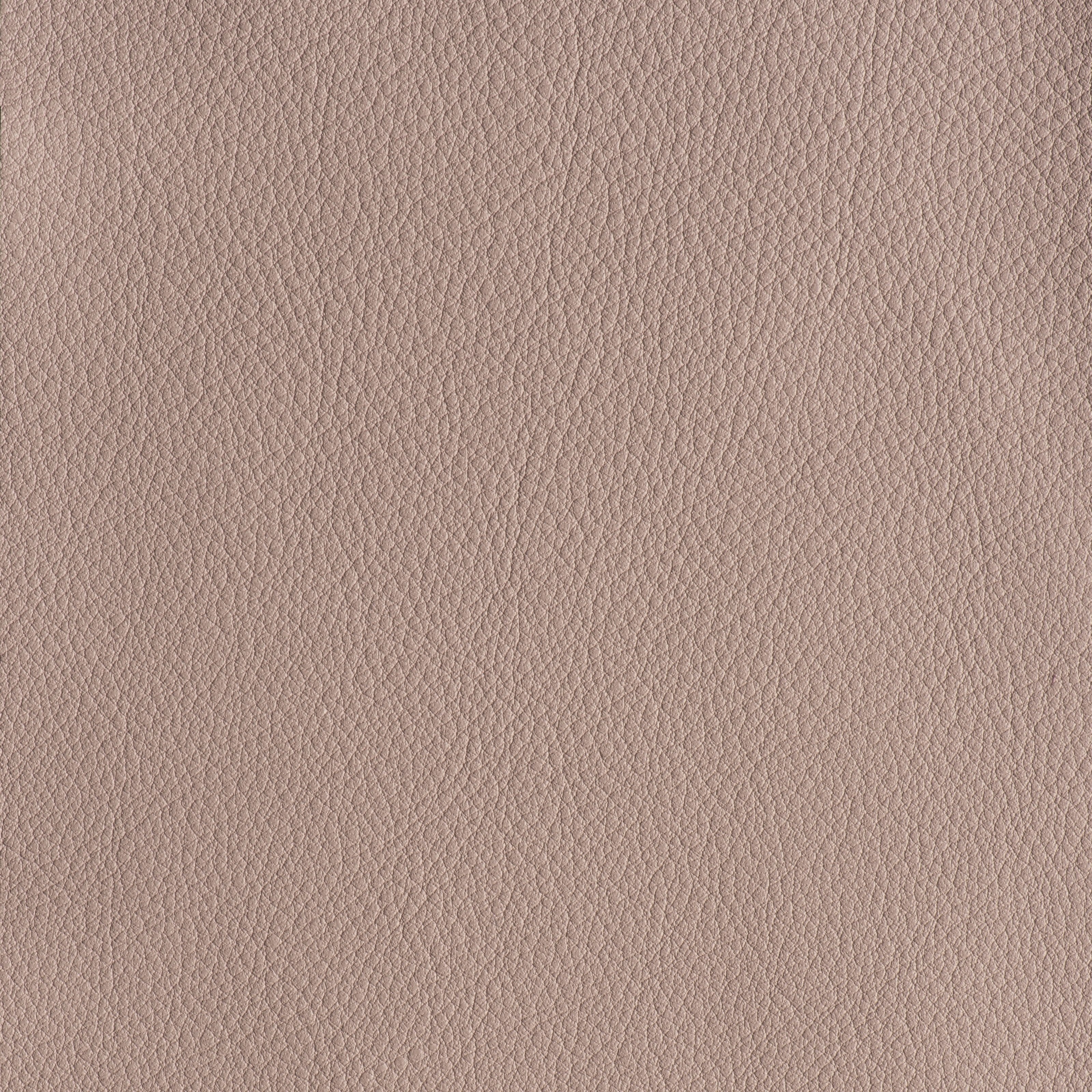 IN THE MOO'D - CHARM