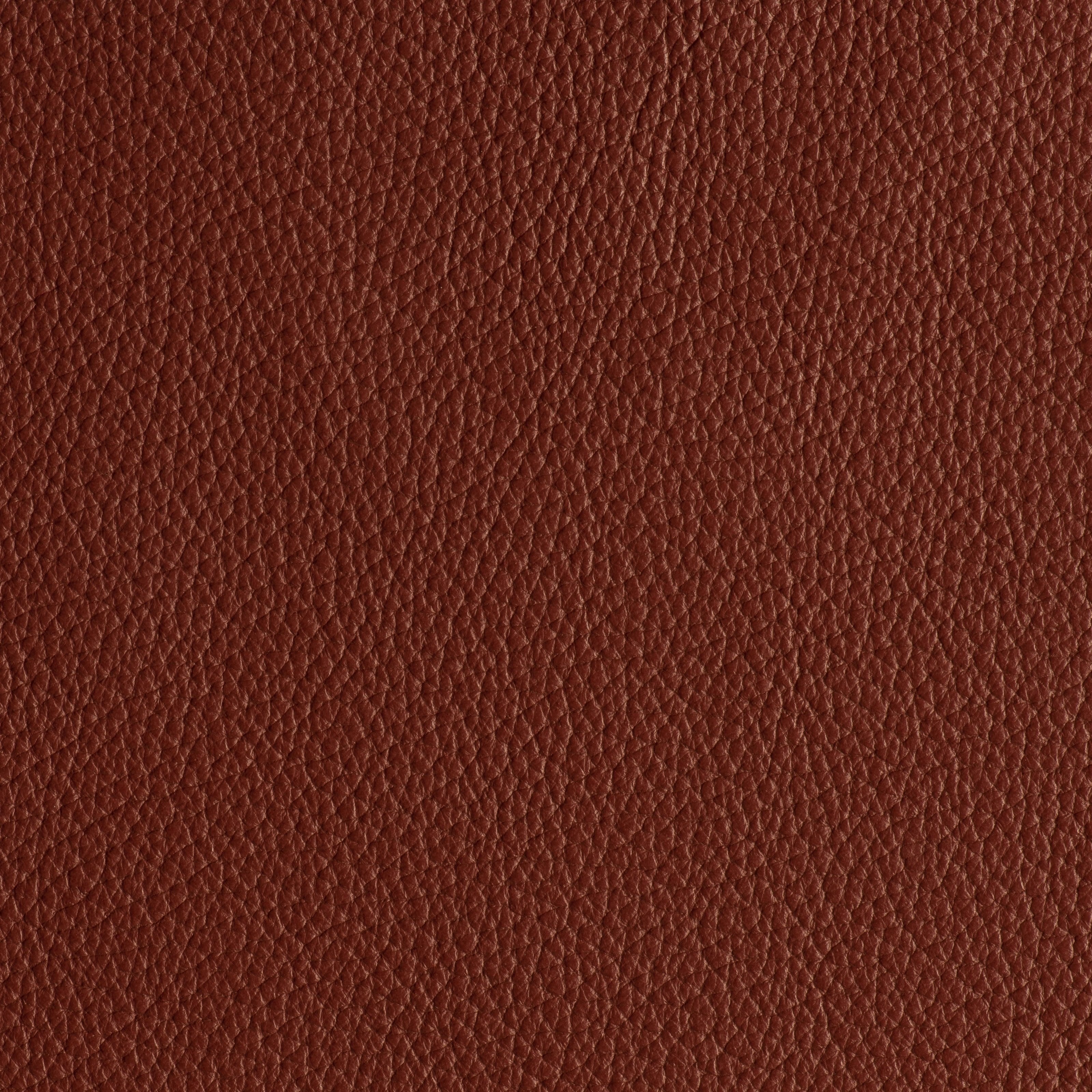 LIKE NO UDDER - EMBER