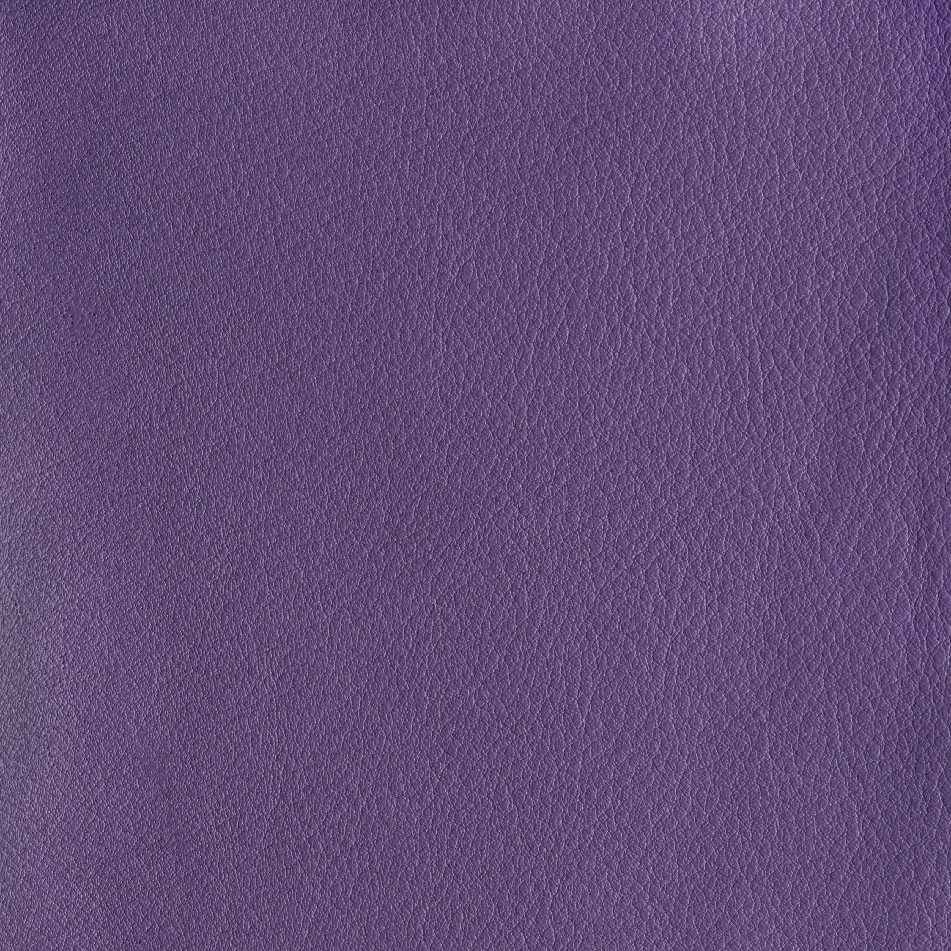 IN THE MOO'D - ROYALTY