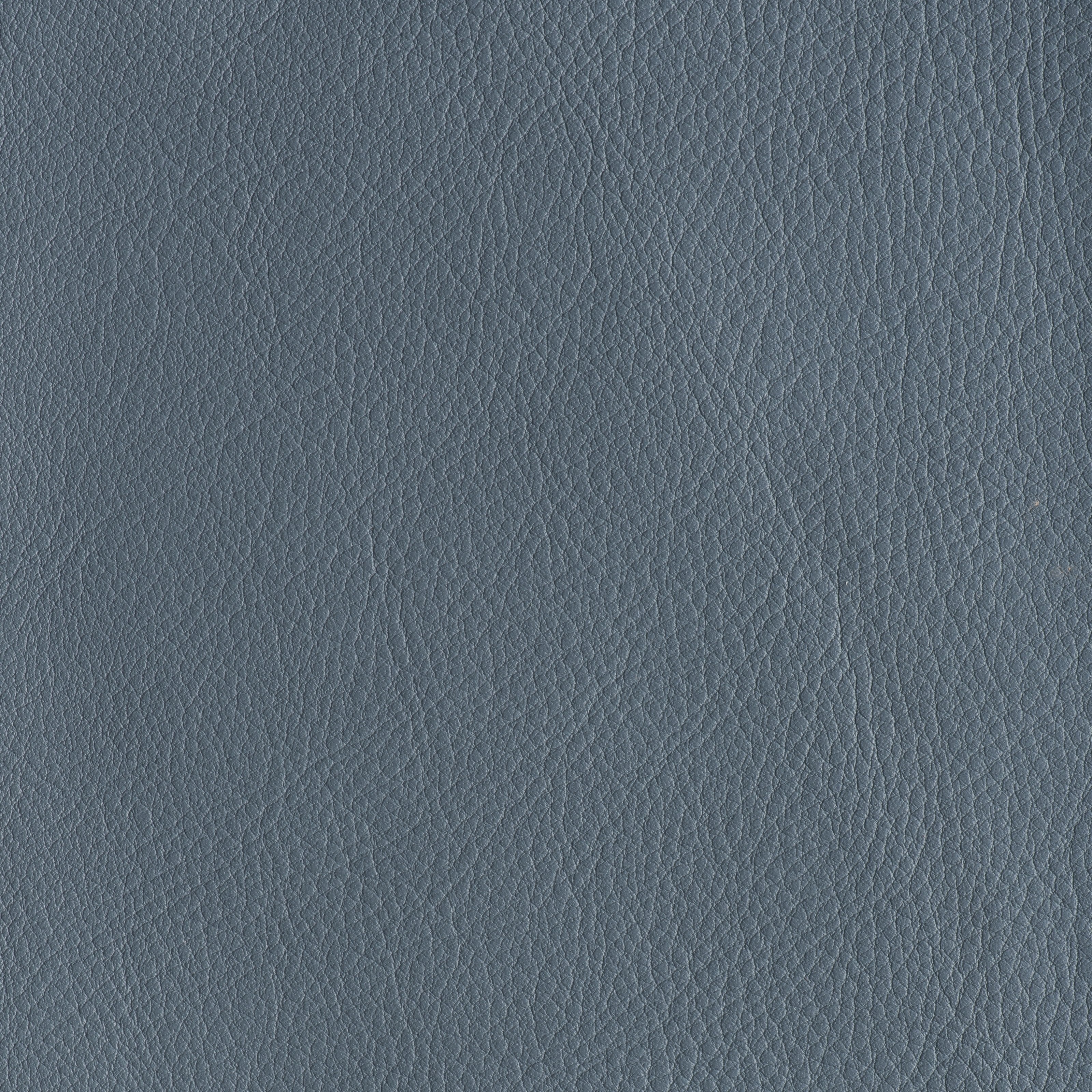 IN THE MOO'D - PORPOISE