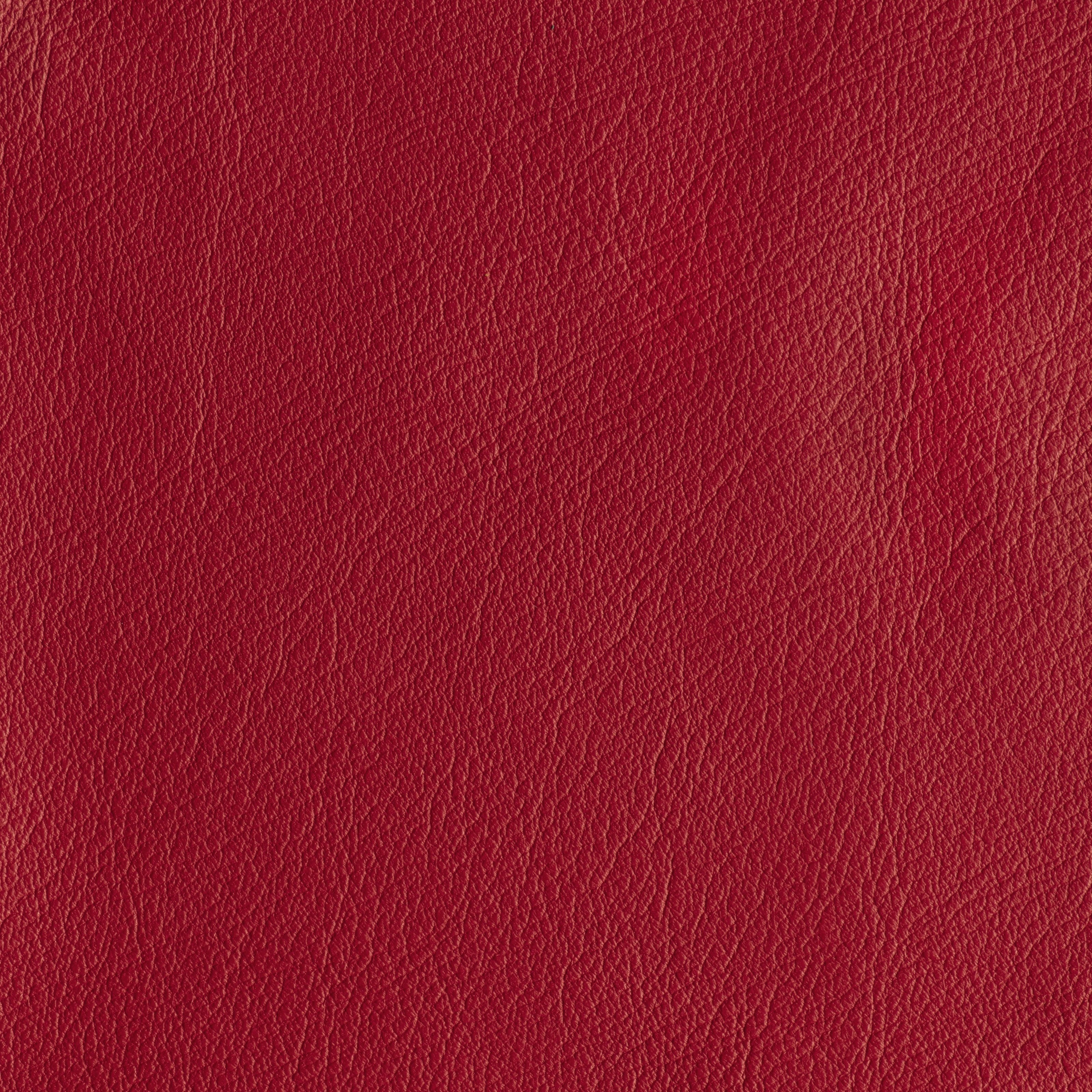 IN THE MOO'D - REVENGE