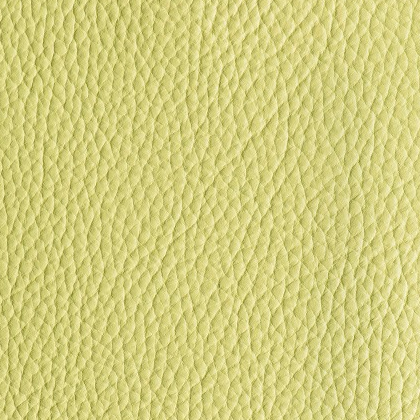 LIKE NO UDDER - CUSTARD