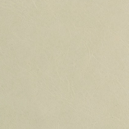 CITY SLICKERS - KHAKI