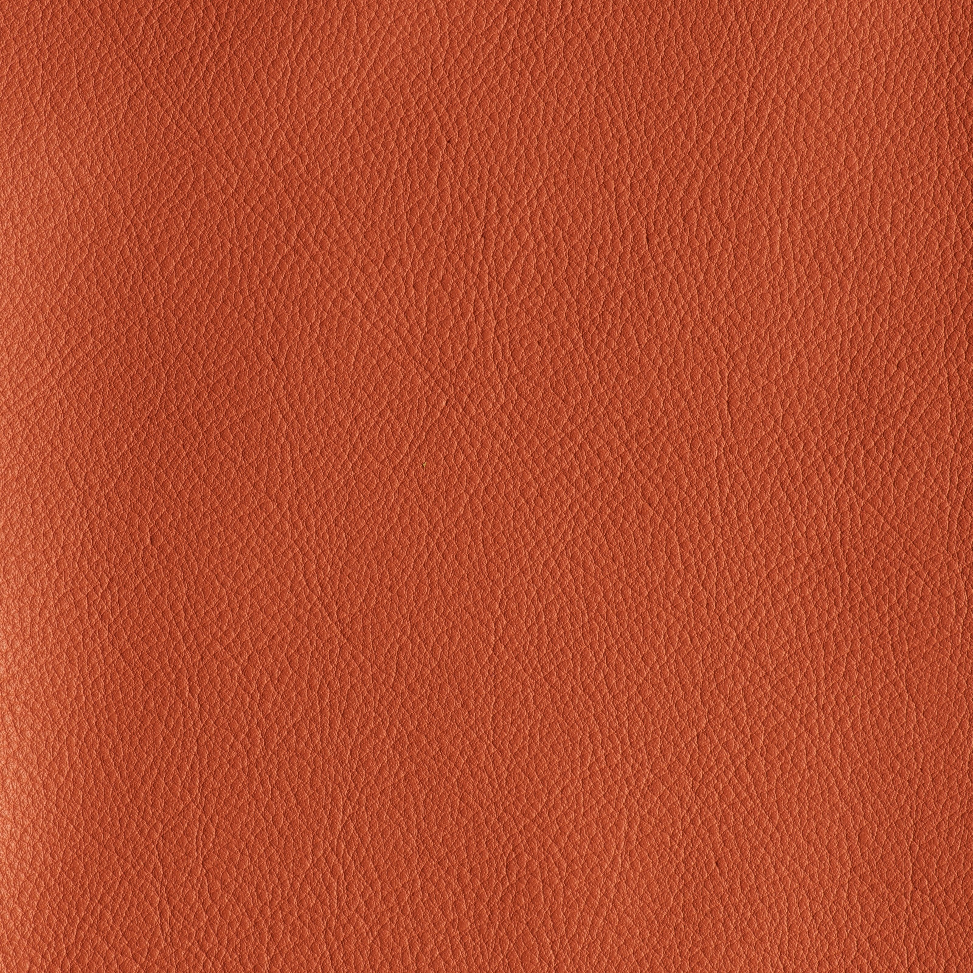 IN THE MOO'D - CITRUS