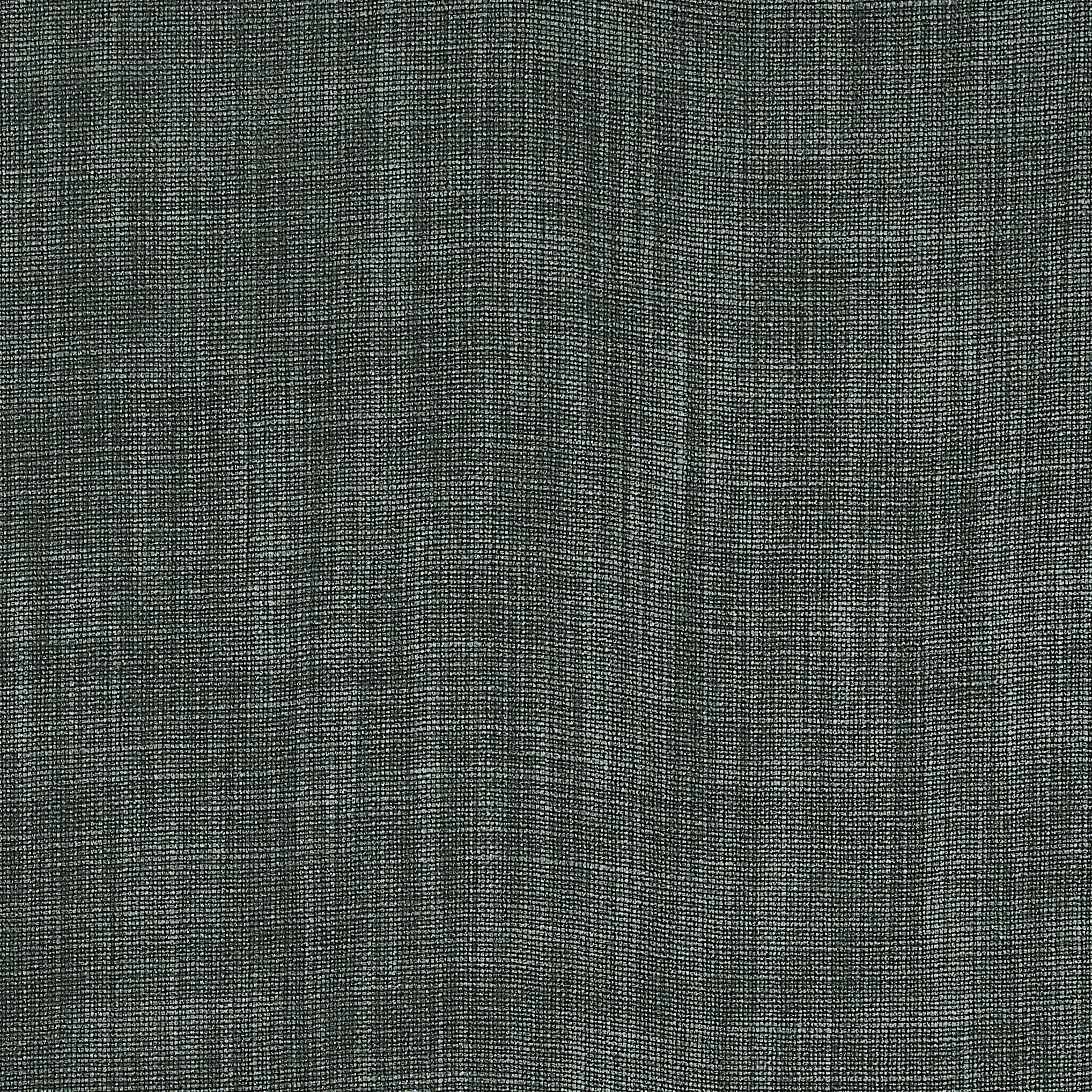 Ardennes - Santolina