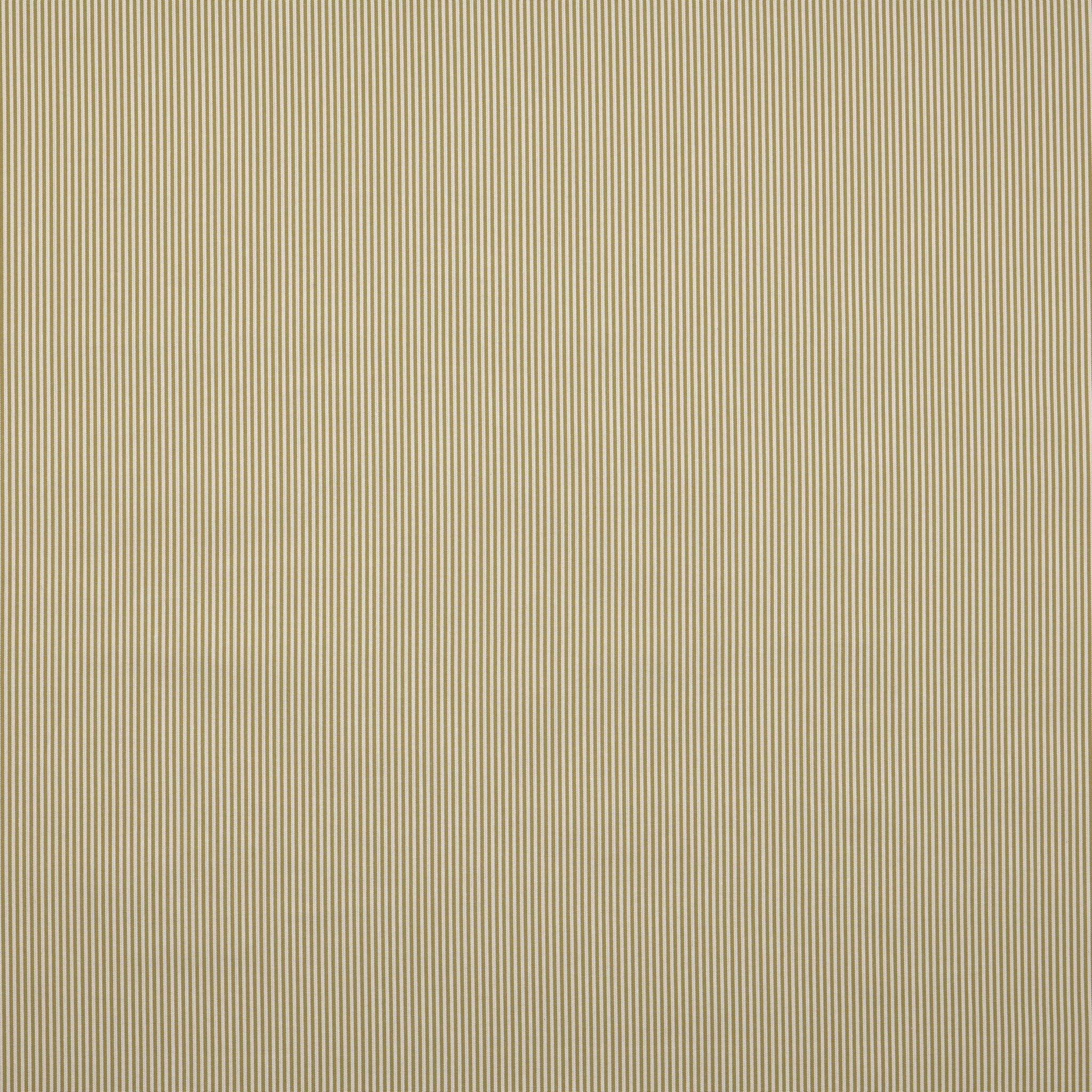 Alford Stripe - Olive