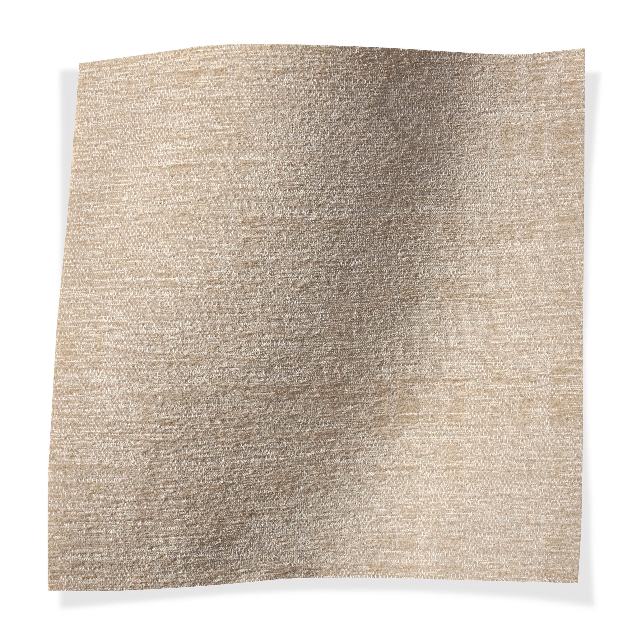 Archipelago Albatross - Outdoor