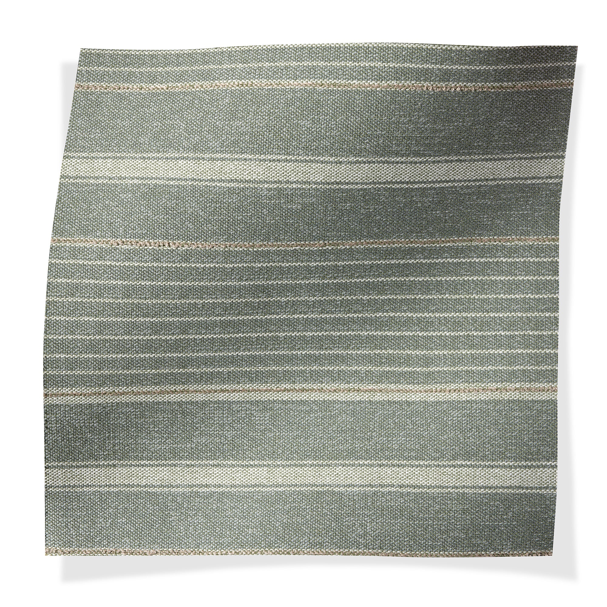 Whidbey Yew - Outdoor