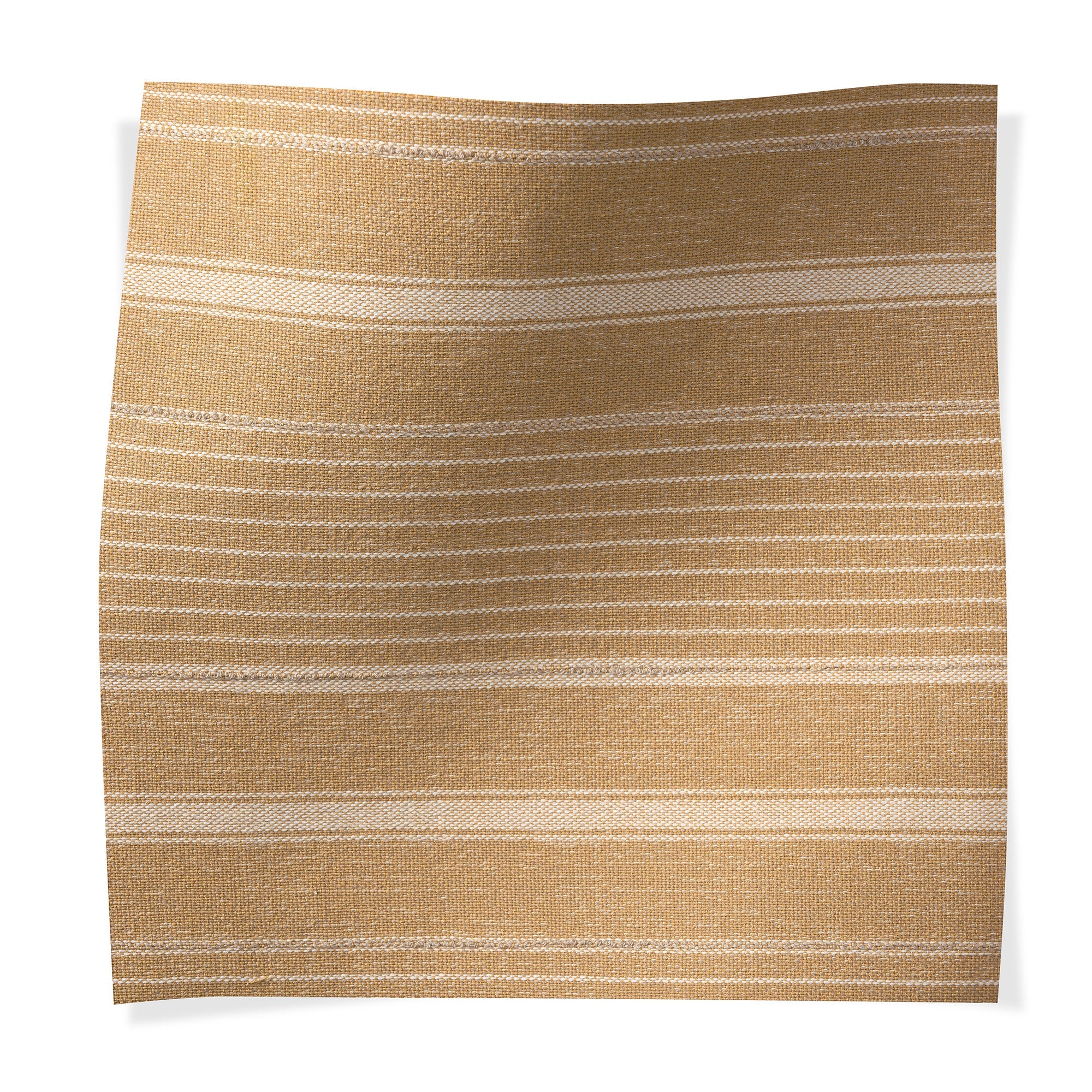 Whidbey Golden Currant - Outdoor