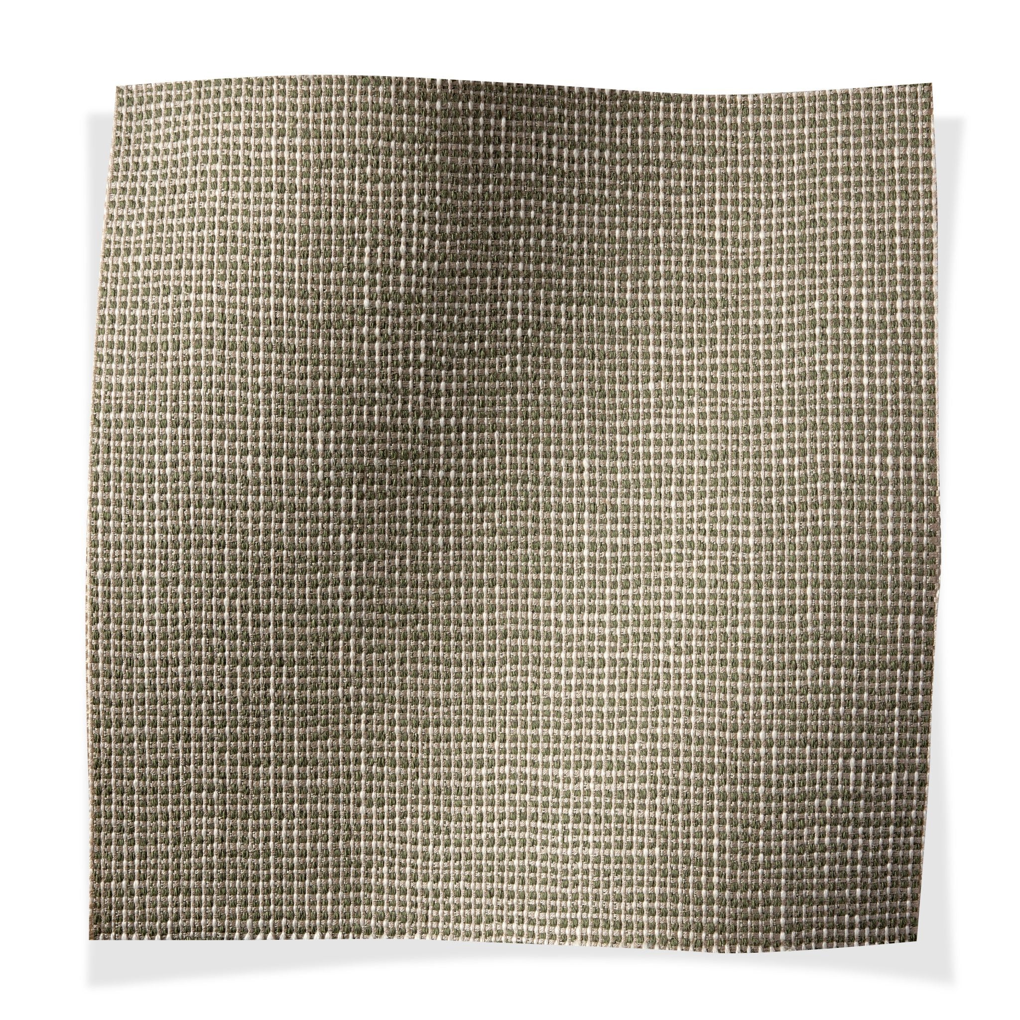 Cotswold Whitebeam - Outdoor