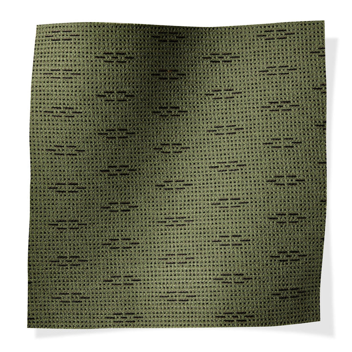 Mandrake Nightshade - Outdoor