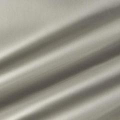 Glant Iridescent Leather - Platinum