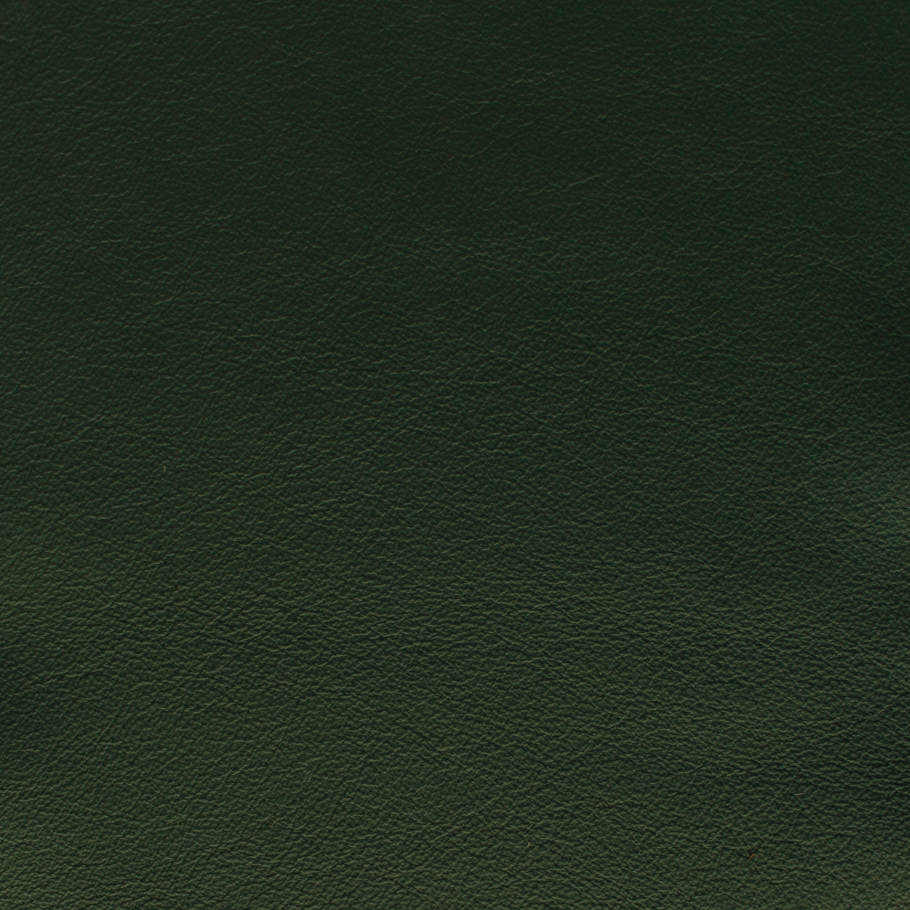 Desirabull - Cypress