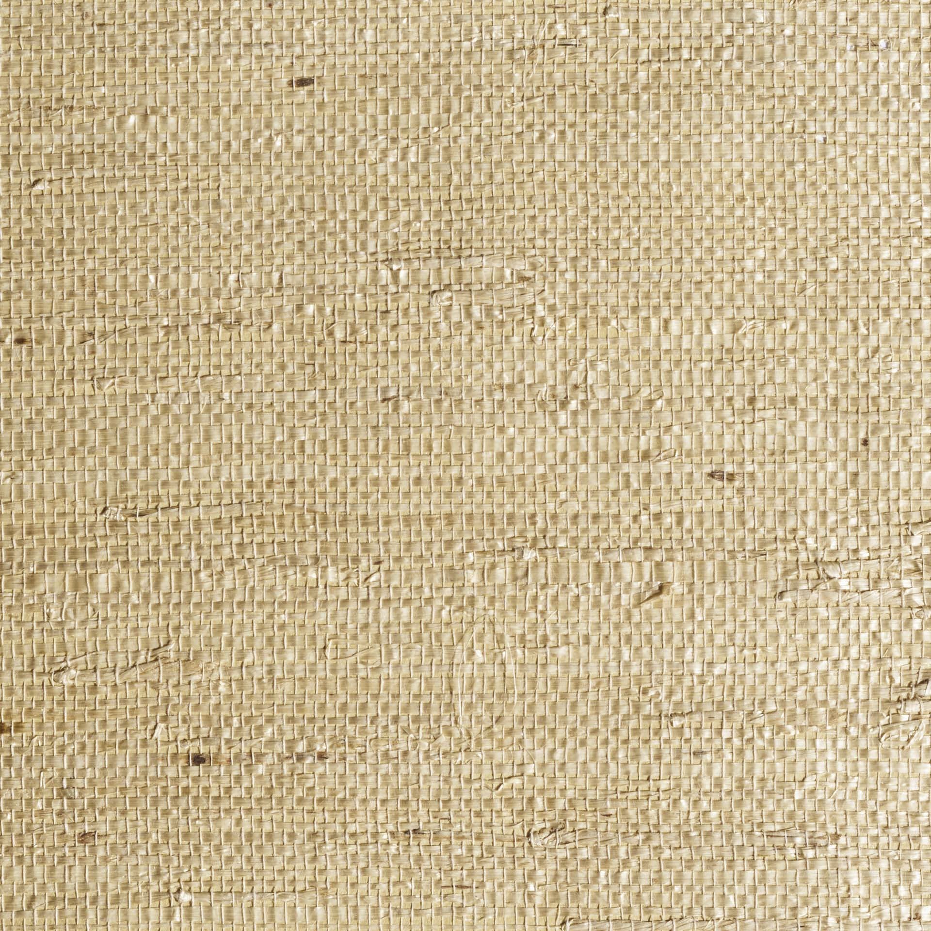 Arrowroot Dried Tendril