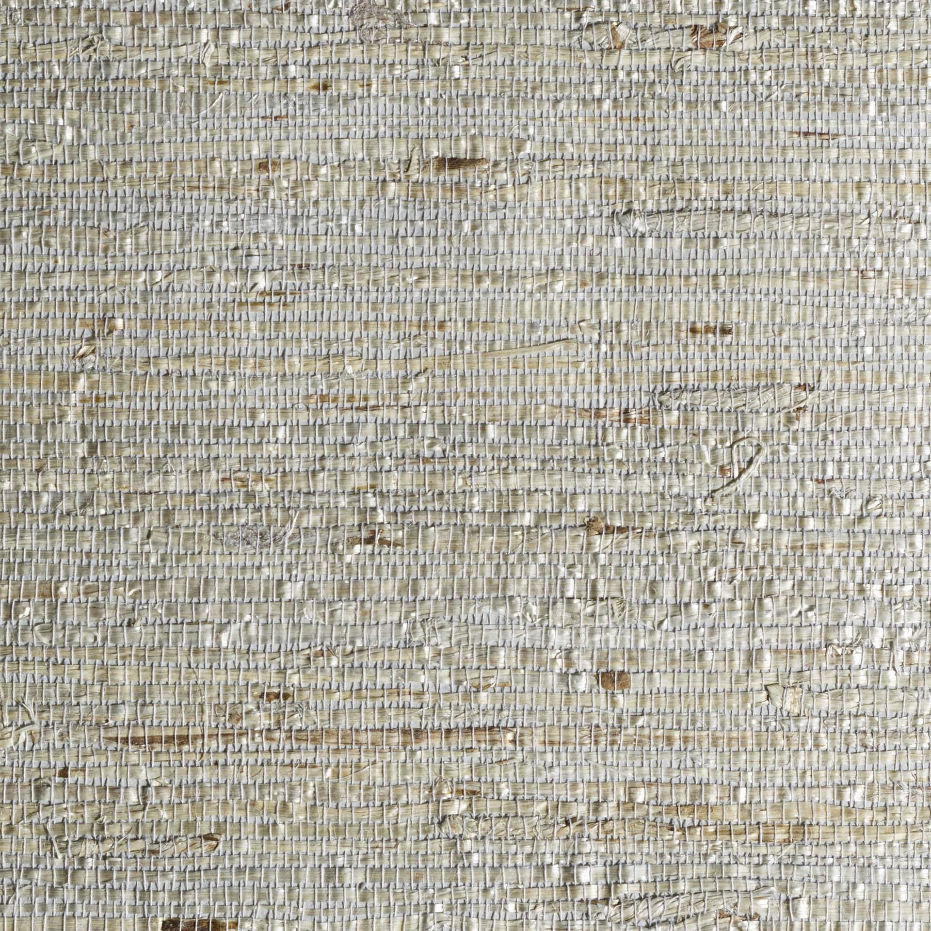 Arrowroot Dublin Rock