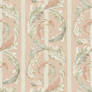 Acanthe - Plaster