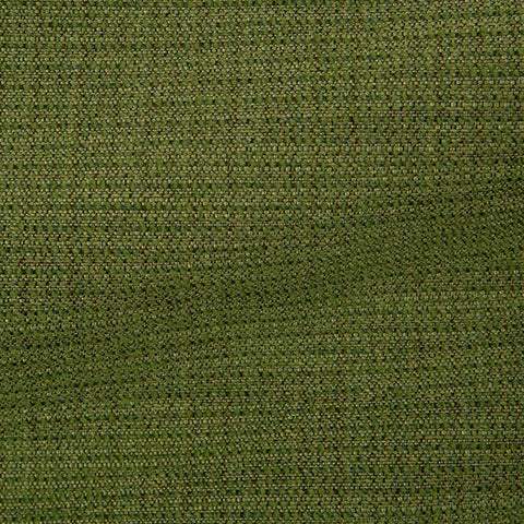 Bari - Cedar
