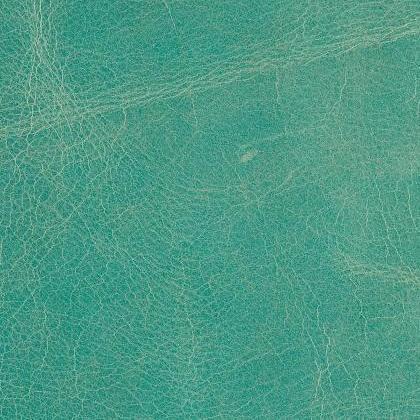 BELLA PELLE - AQUA