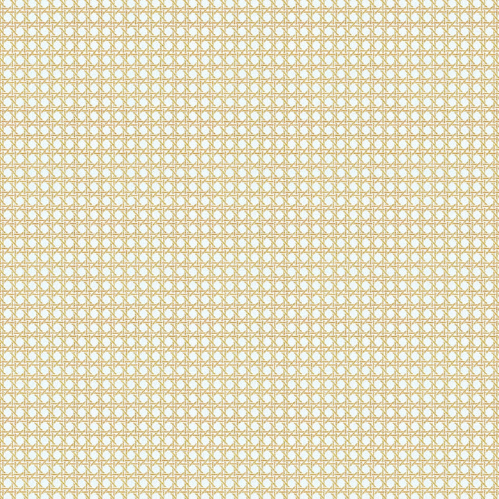 Café Society  - Jaune