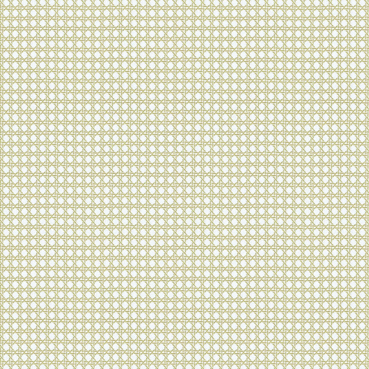 Café Society  - Limone