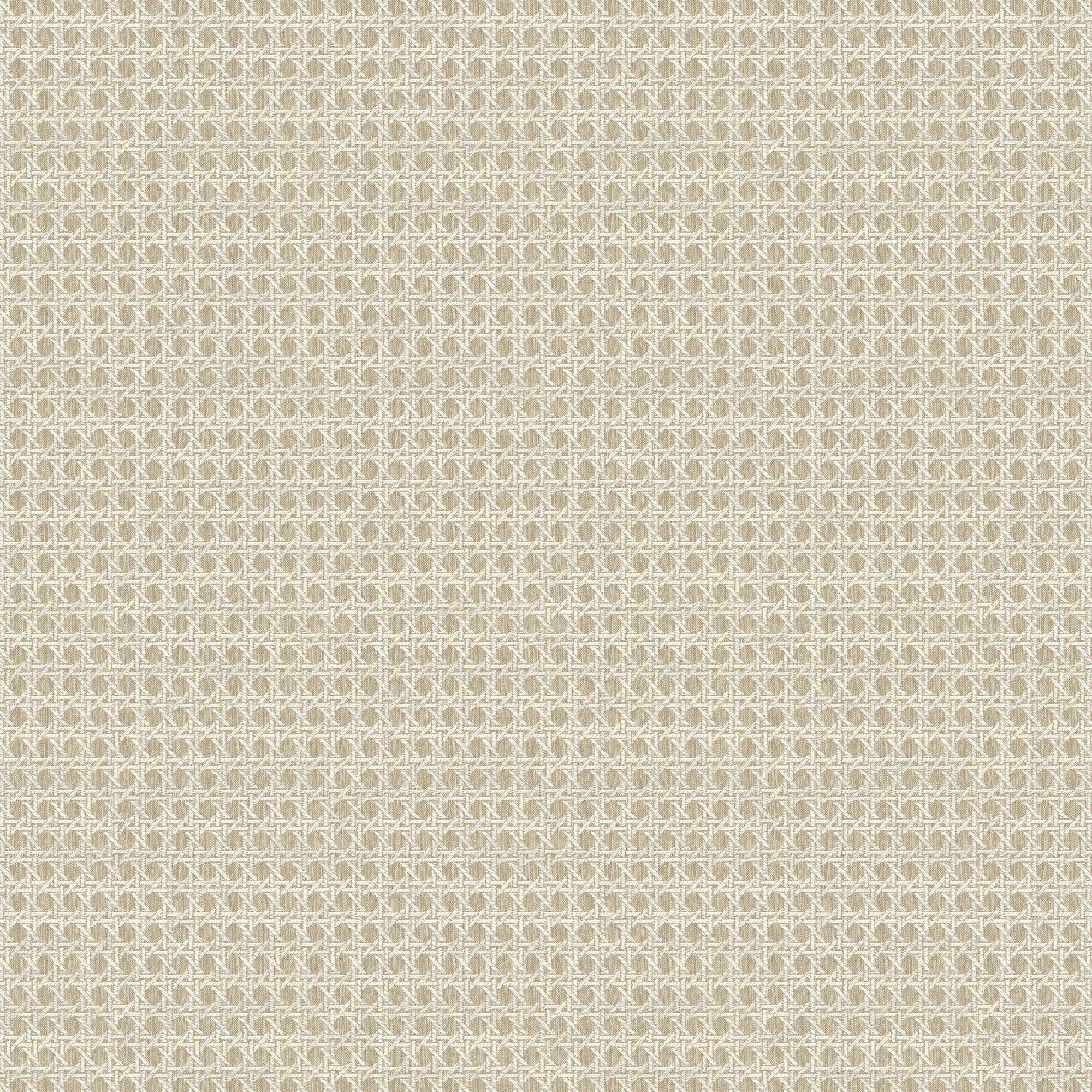 Café Society  - Natural