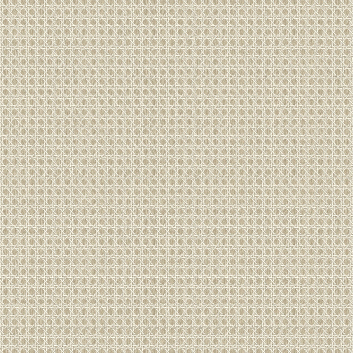 Café Society  - Natural