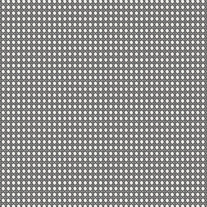 Café Society  - Noir