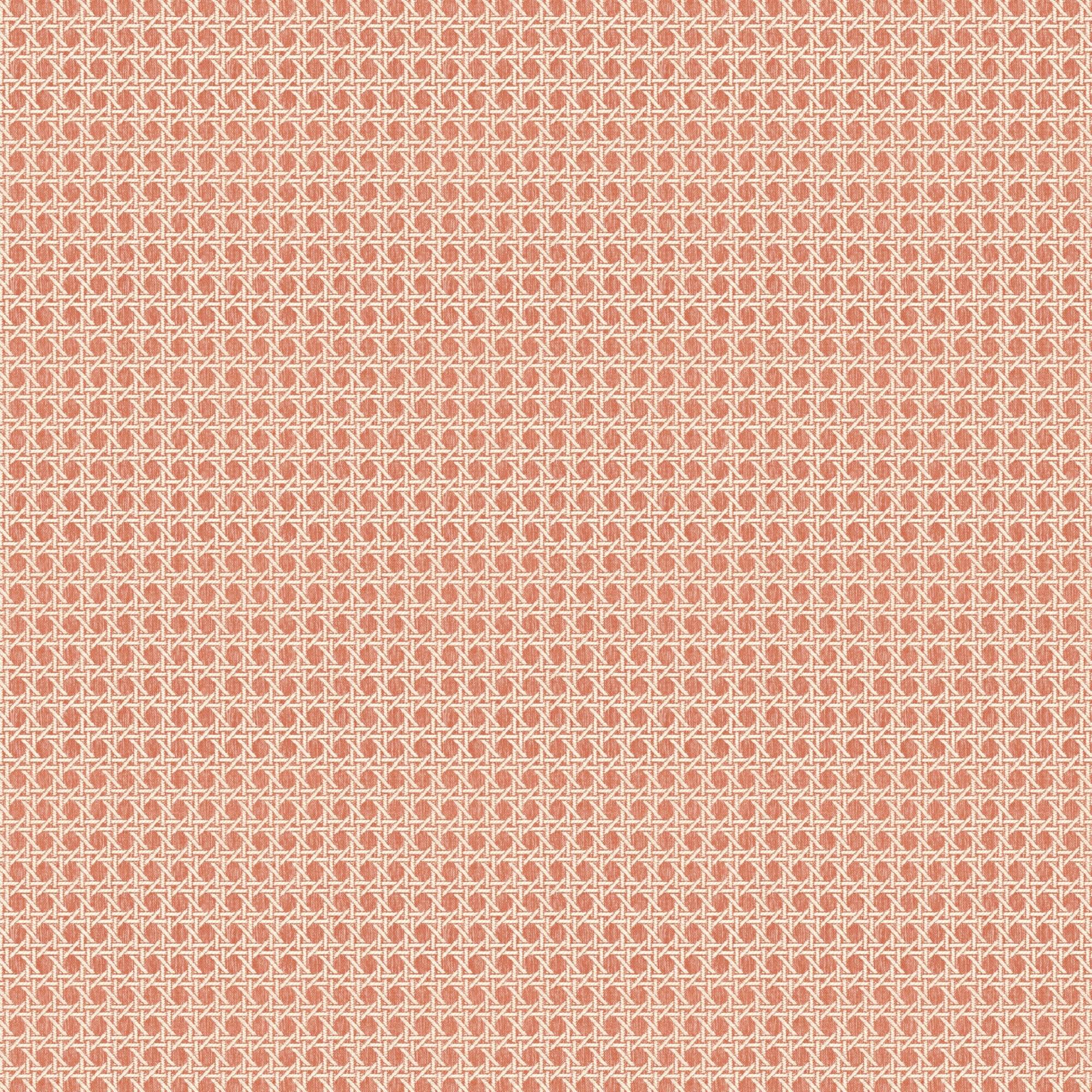 Café Society  - Spice