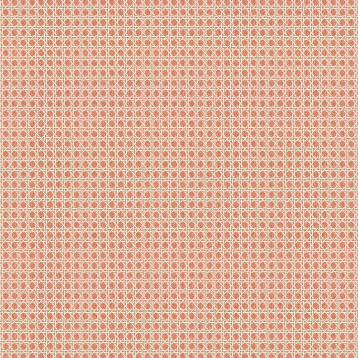 Café Society  - Spice