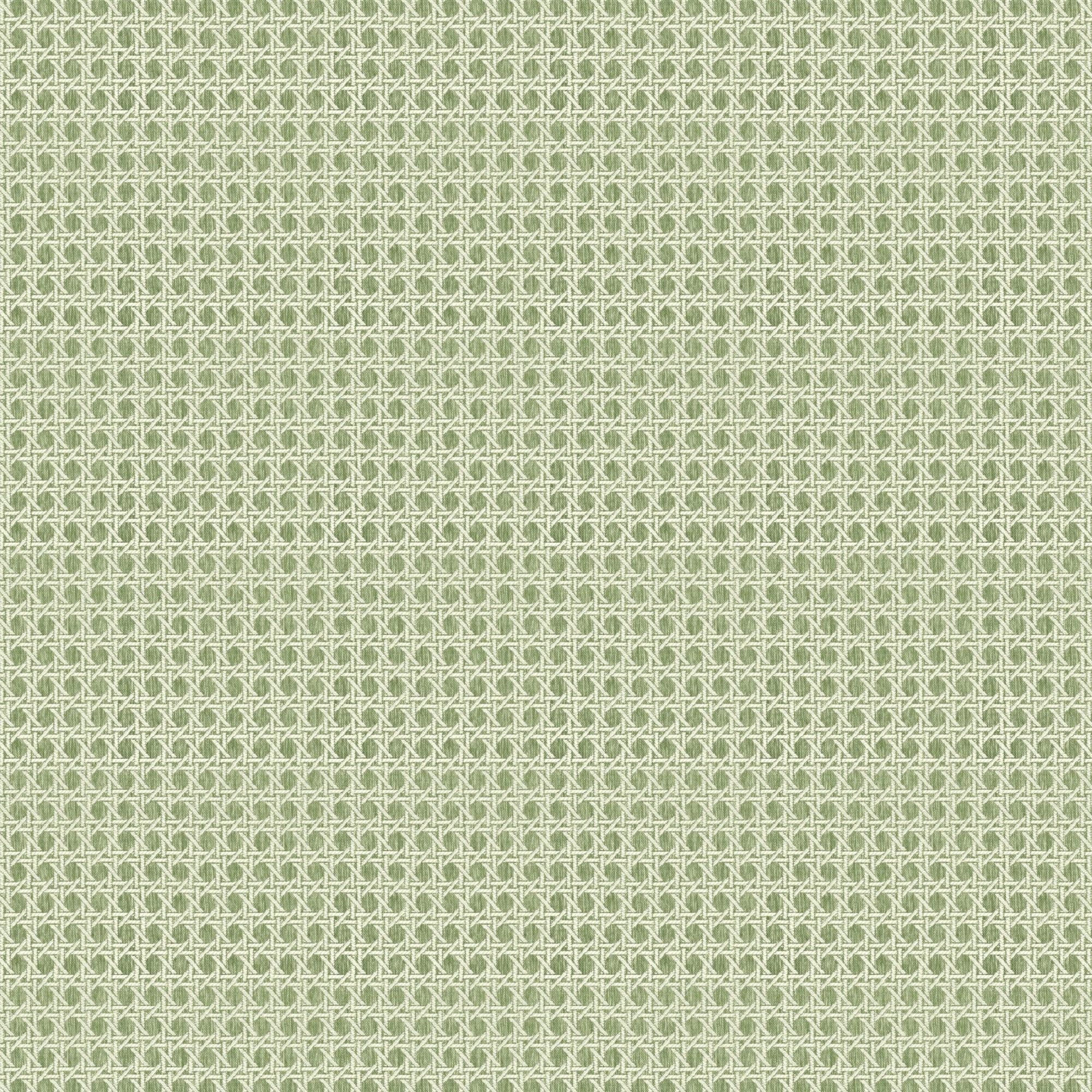 Café Society  - Vert